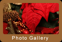 Gallery Button